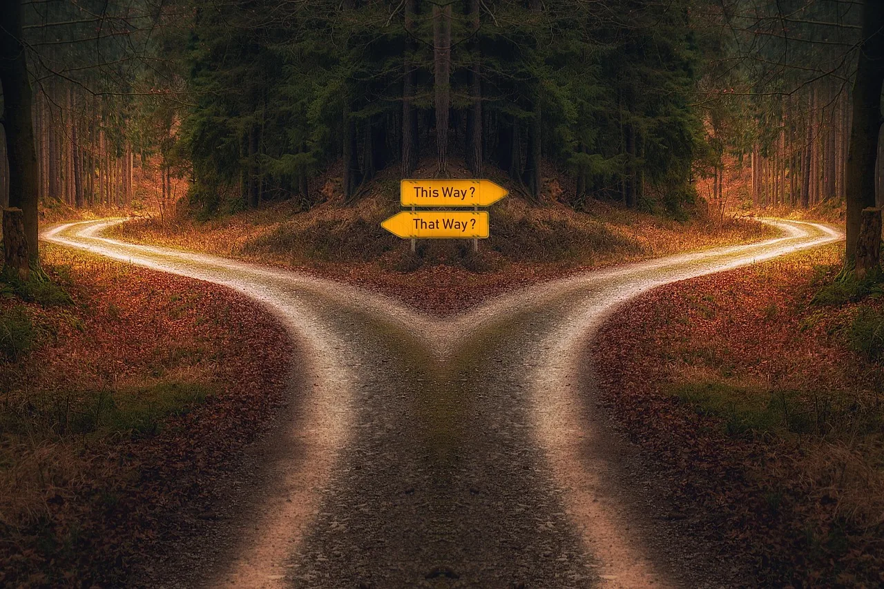 Rozdroże w lesie z drogowskazem This way That way jako metafora wyboru interpretacji